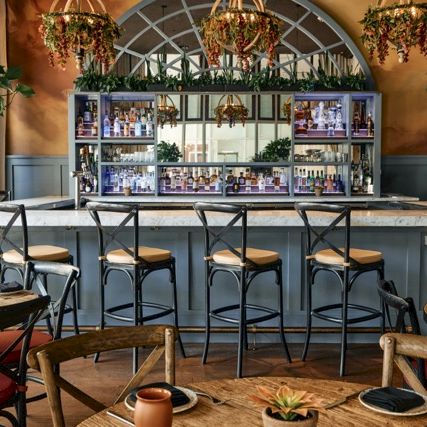 A stylish bar interior with a curved back bar, high stools, hanging plants, warm lighting, and wooden tables creating a cozy, cafe-like vibe.