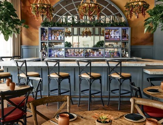 A stylish bar interior with a curved back bar, high stools, hanging plants, warm lighting, and wooden tables creating a cozy, cafe-like vibe.